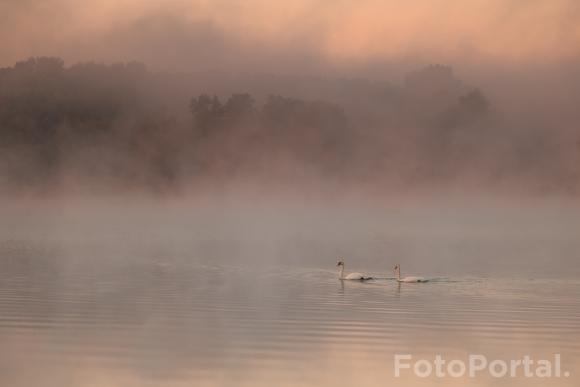 Jesienny poranek nad Rusałką