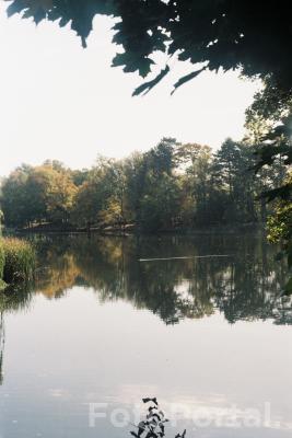 Kaczuszka na sołaczu