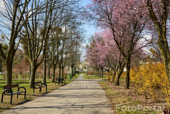 Park Wł Czarneckiego  Os Przyjaźni