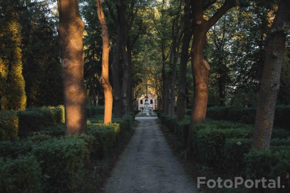 Jesień na Cmentarzu Bożego Ciała