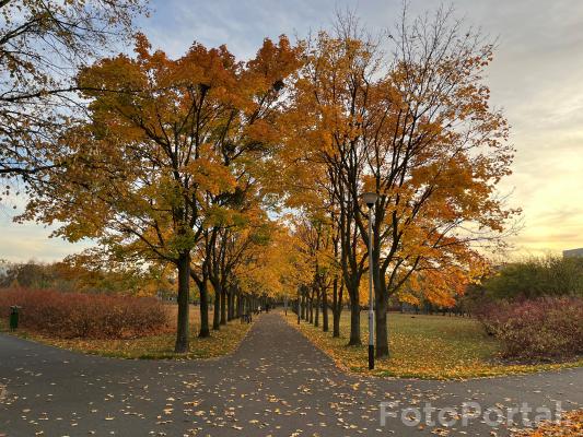 Park os. Przyjaźni