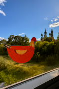 Poznań z lotu… kury 🐓