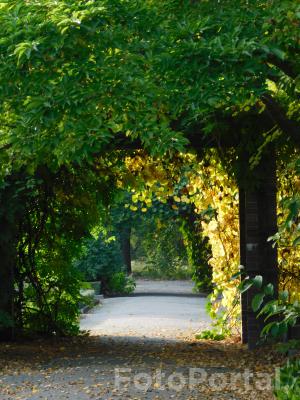 Ogród Botaniczny