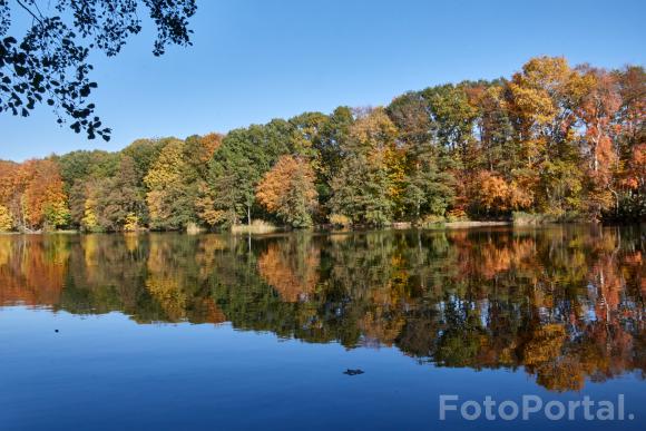 Październik nad Rusałką