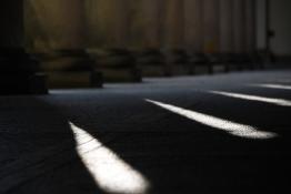 Światłocienie Poznania