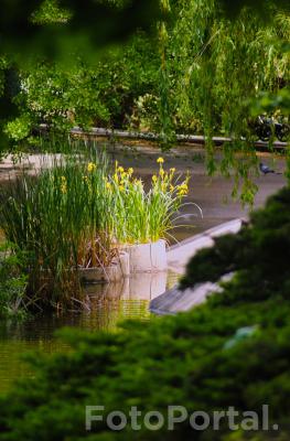 Park Wilsona