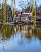 Park Sołacki