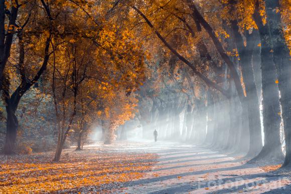 Park im. Adama Wodziczki