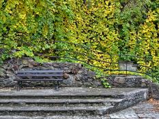 Jesień w Starym Zoo.