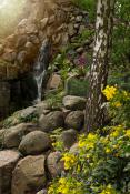 Park Wilsona