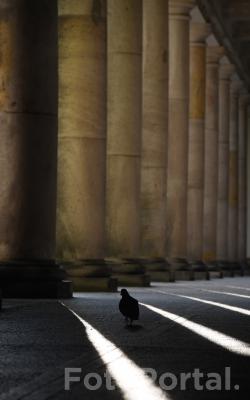 Światłocienie Poznania