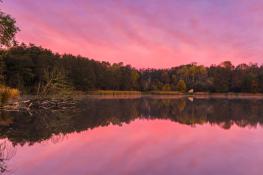 Poranek nad Rusałką