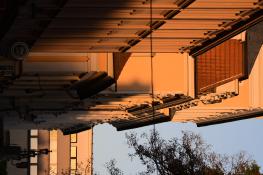 Światłocienie Poznania