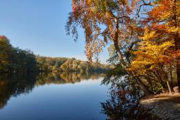 Październik nad Rusałką