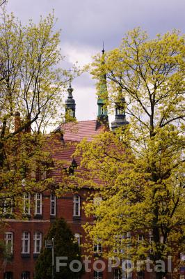 Collegium św. Marii Magdaleny