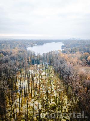 Bagna i rozlewiska przy Jeziorze Rusałka