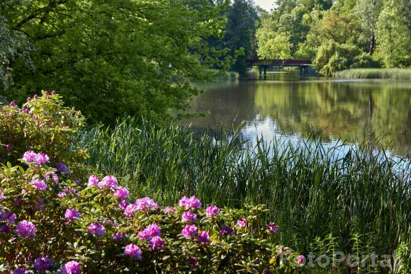 Nowe spojrzenie na Park Sołacki