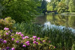 Nowe spojrzenie na Park Sołacki