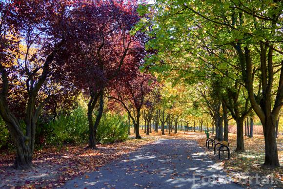 Park Wł Czarneckiego w jesiennych kolorach