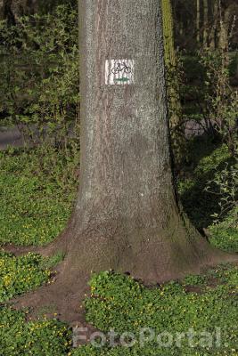 Park Sołacki - ścieżka rowerowa