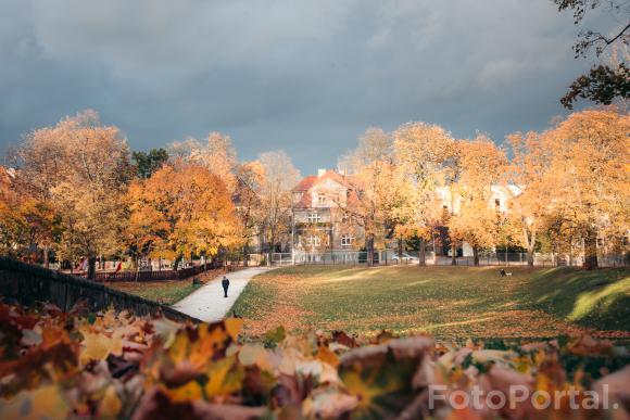 Park Wieniawskiego w jesiennych barwach