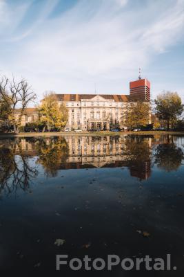 Jesień w Parku Marcinkowskiego