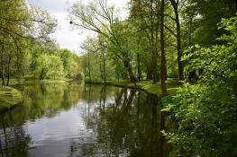 Park Sołacki