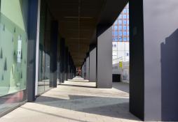 Światłocienie Poznania