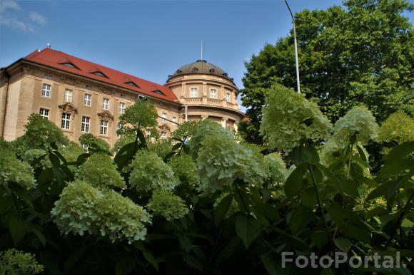 Lato w mieście