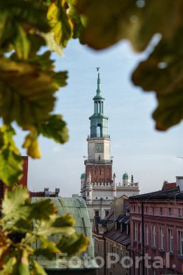 Stary rynek z innej perspektywy