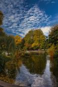 Park Wilsona