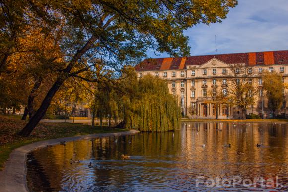 Park Karola Marcinkowskiego