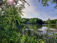 Nowe spojrzenie na Park Sołacki