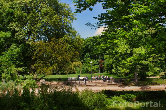 Park Wilsona