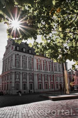 Urząd Miasta Pełen okien