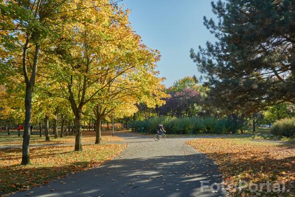 Jesień na Winogradach (Park Wł. Czarneckiego)