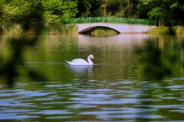 Park Sołacz