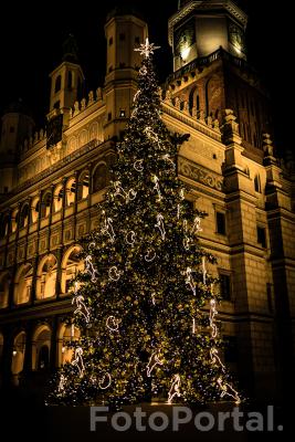 Choinka na Starym Rynku