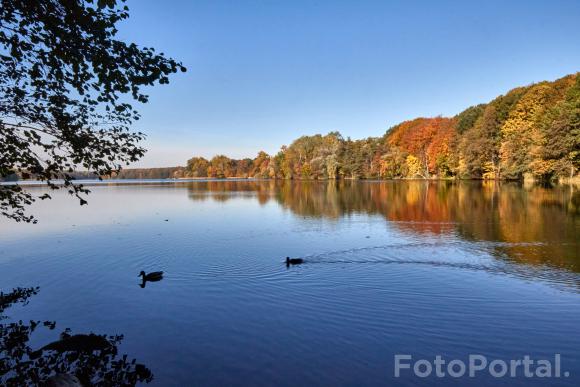 Październik nad Rusałką