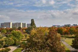 Park Wł Czarneckiego w jesiennych kolorach