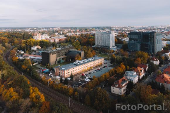 Jesień na Alei Niepodległości