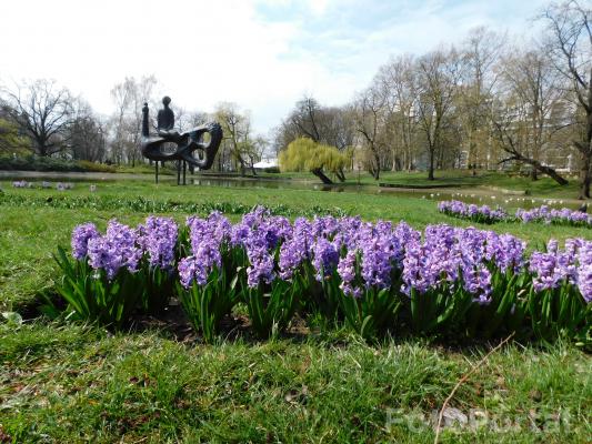 Park K.Marcinkowskiego