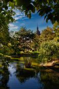 Park Wilsona
