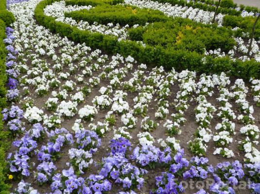 Majówka w Ogrodzie Botanicznym