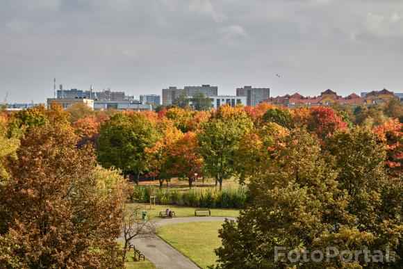 Jesień na Winogradach (Park Wł. Czarneckiego)