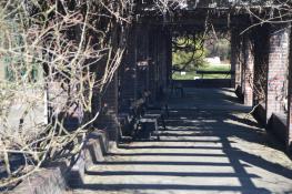 Światłocienie Poznania