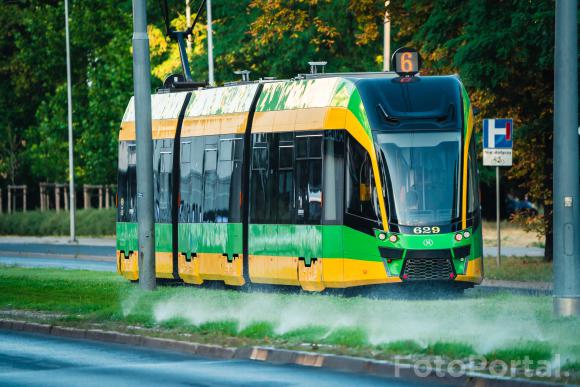 Tramwaj MPK i naładniejszy trawnik w Poznaniu