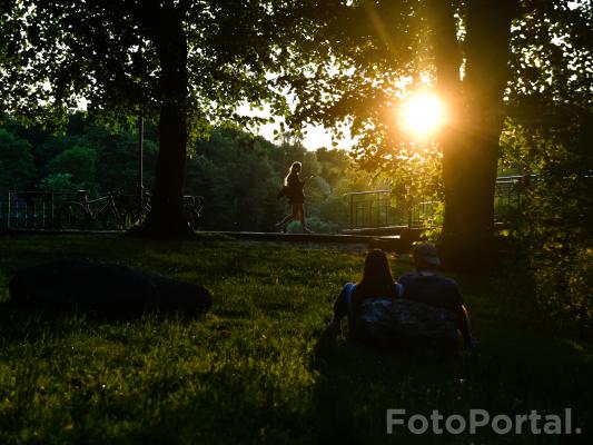 Światłocienie Poznania