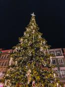 Choinka na Starym Rynku