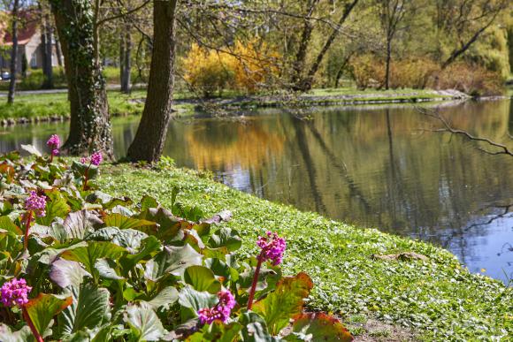 Park Sołacki - wreszcie wiosna